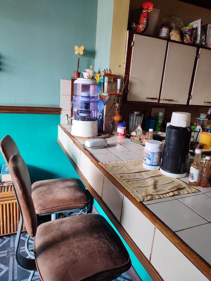The Cozy Cactus House B&B Cartago Centro English Spoken מראה חיצוני תמונה