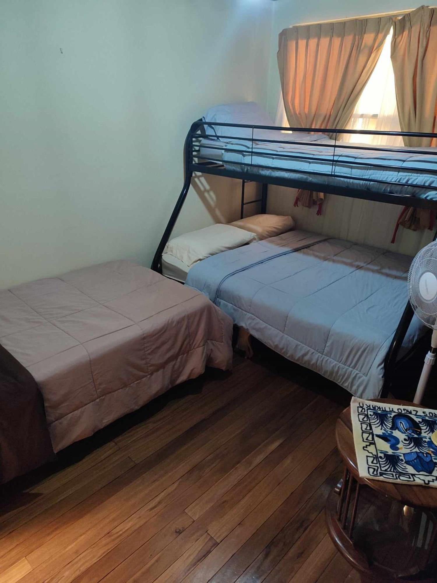 The Cozy Cactus House B&B Cartago Centro English Spoken מראה חיצוני תמונה